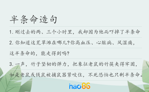 半条命造句