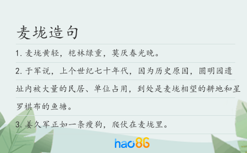 麦垅造句