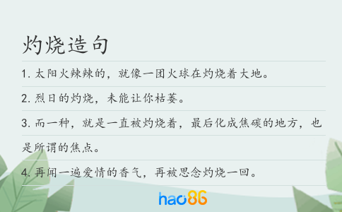 灼烧造句