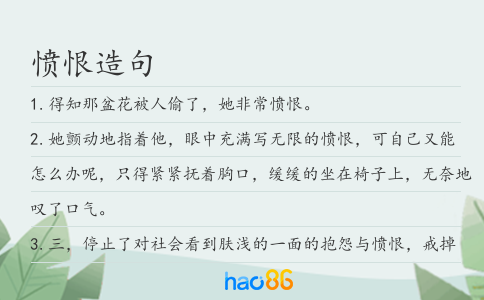 愤恨造句