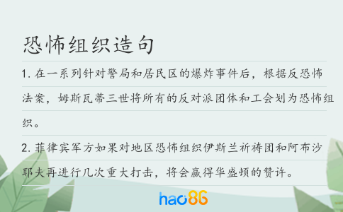 恐怖组织造句