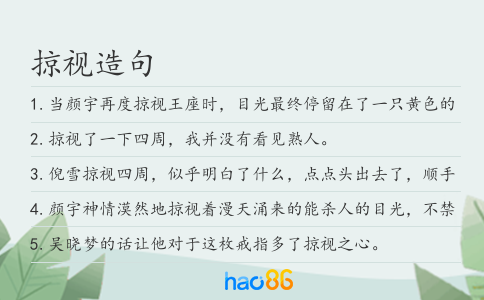 掠视造句