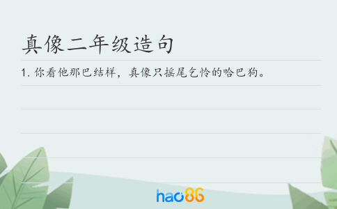 真像二年级造句