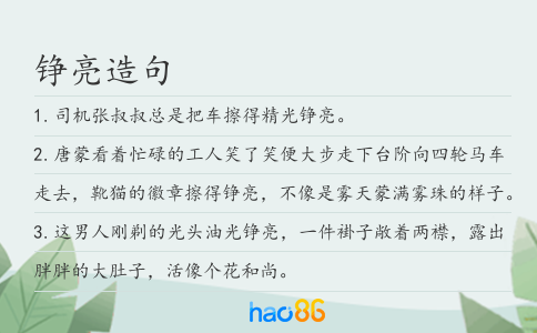 铮亮造句