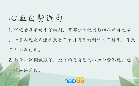心血白费造句