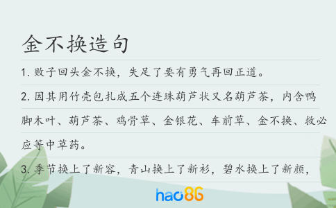 金不换造句