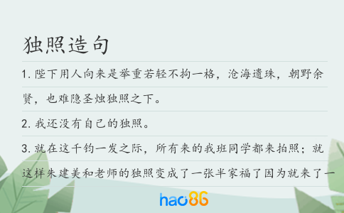 独照造句