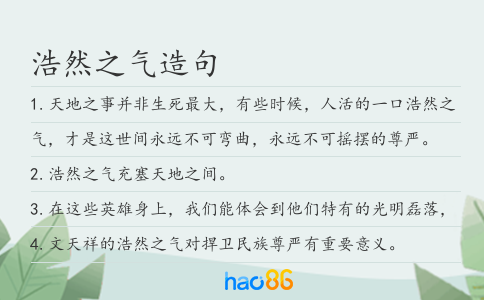 浩然之气造句