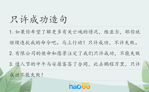 只许成功造句