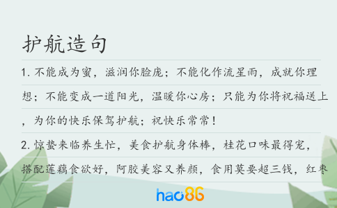护航造句