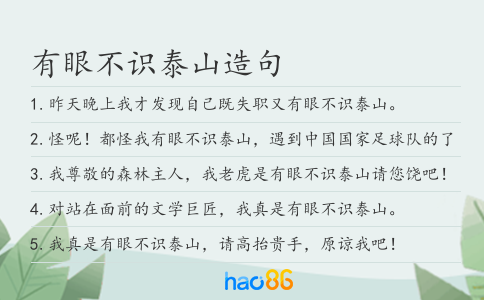 有眼不识泰山造句