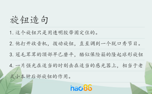 旋钮造句