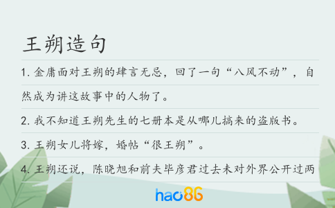 王朔造句