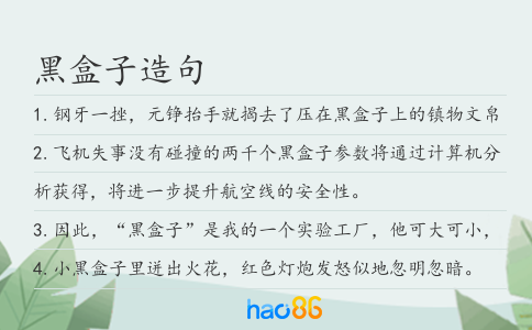 黑盒子造句