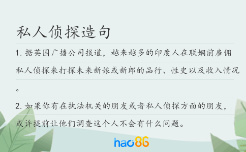 私人侦探造句