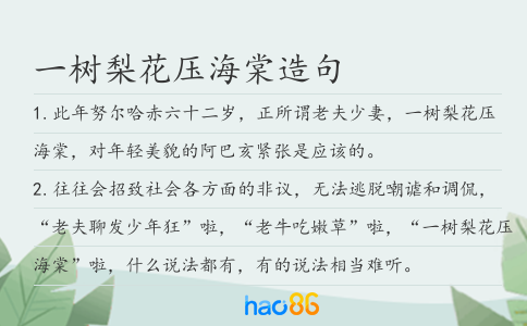 一树梨花压海棠造句