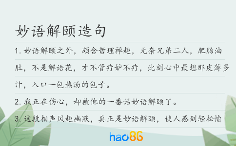 妙语解颐造句
