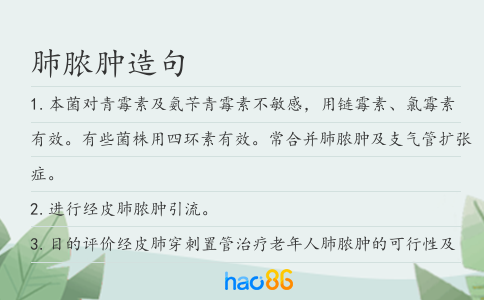 肺脓肿造句
