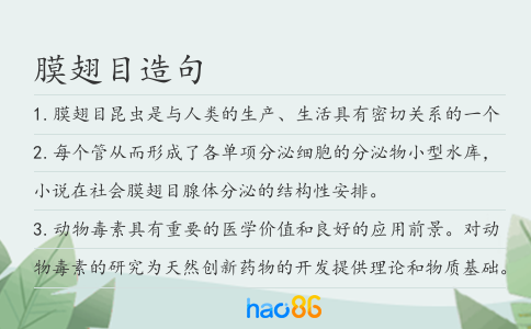 膜翅目造句