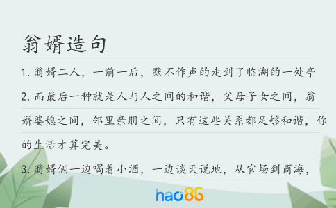 翁婿造句