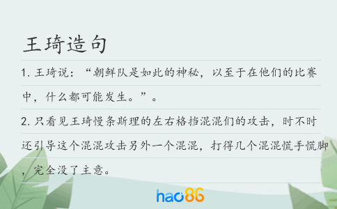 王琦造句
