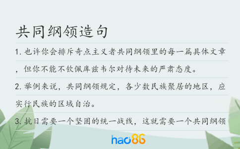 共同纲领造句