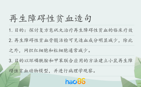 再生障碍性贫血造句