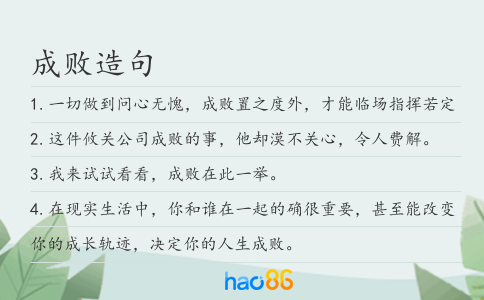 成败造句