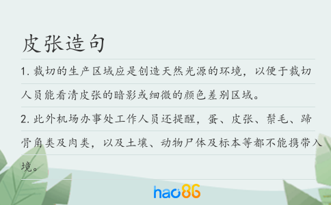 皮张造句