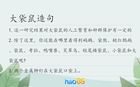 大袋鼠造句
