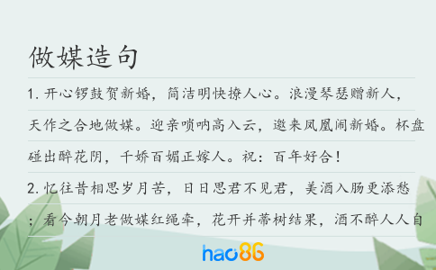 做媒造句