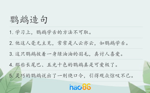 鹦鹉造句