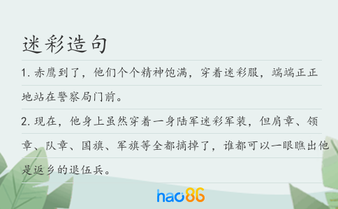 迷彩造句