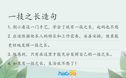 一技之长造句