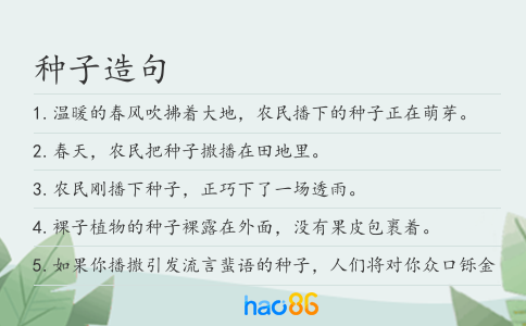 种子造句