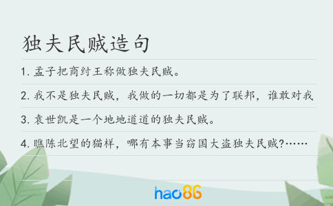 独夫民贼造句