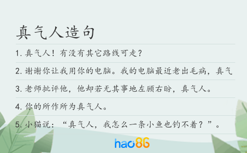 真气人造句