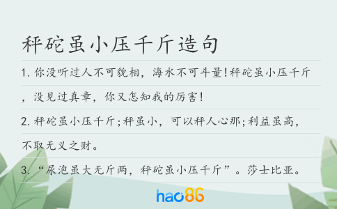 秤砣虽小压千斤造句