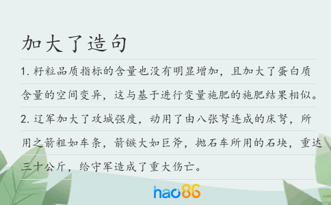 加大了造句