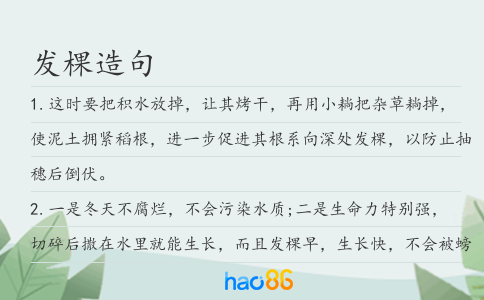 发棵造句