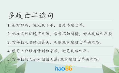 多歧亡羊造句