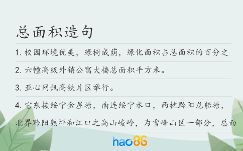 总面积造句