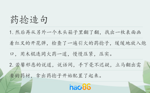 药捻造句
