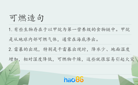 可燃造句