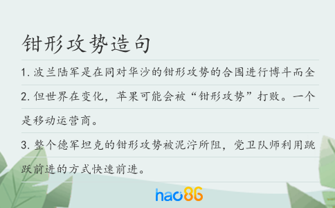 钳形攻势造句