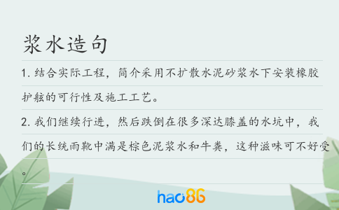 浆水造句