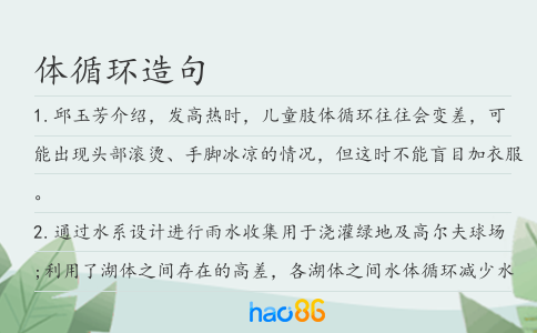 体循环造句