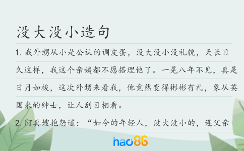 没大没小造句