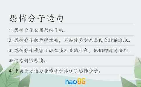 恐怖分子造句