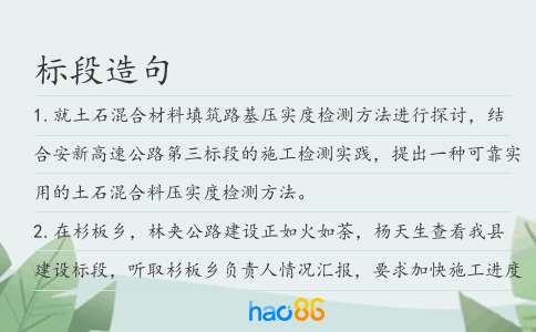 标段造句